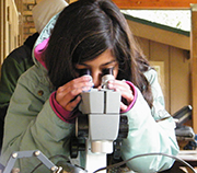 Young girl looks into a microscope