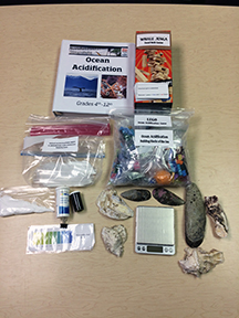 Contents of Ocean Acidification kit